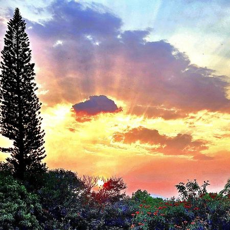 Hotel Hacienda Del Rio オアステペック エクステリア 写真